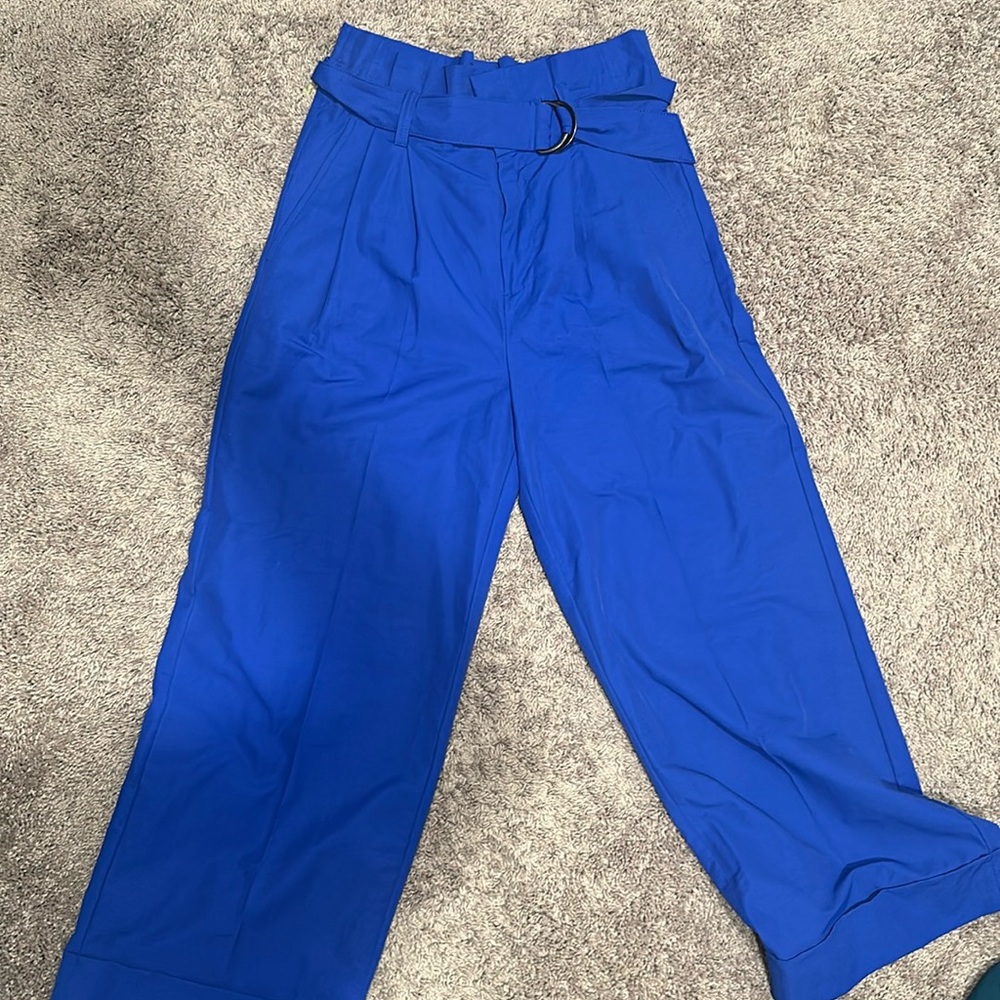 Banana Republic Blue Pant